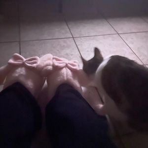 Meet your Posher, Inky